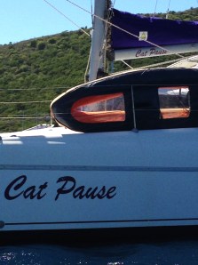 cat pause