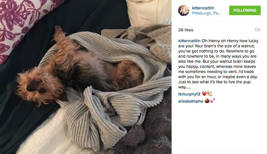 Screen Shot 2016-02-18 at 12.18.40 PM