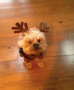 12/19–Verdict: No Real Sign of&nbsp;Trouble