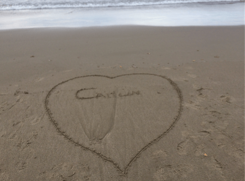 screen-shot-2017-01-07-at-8-44-31-am