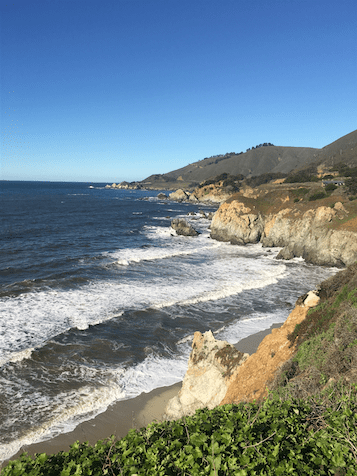 Screen Shot 2017-01-16 at 8.23.05 AM.png