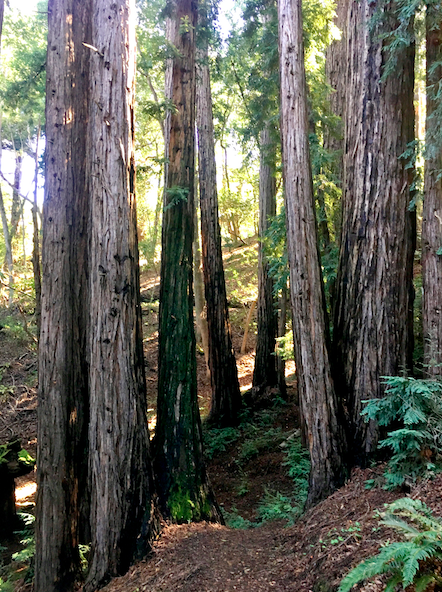 JANUARY 16–Ropes Course for&nbsp;Souls