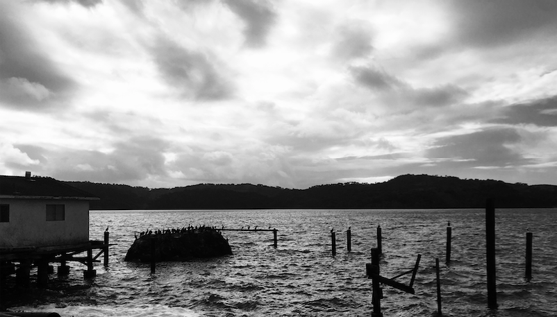 Screen Shot 2017-01-24 at 12.38.40 PM.png