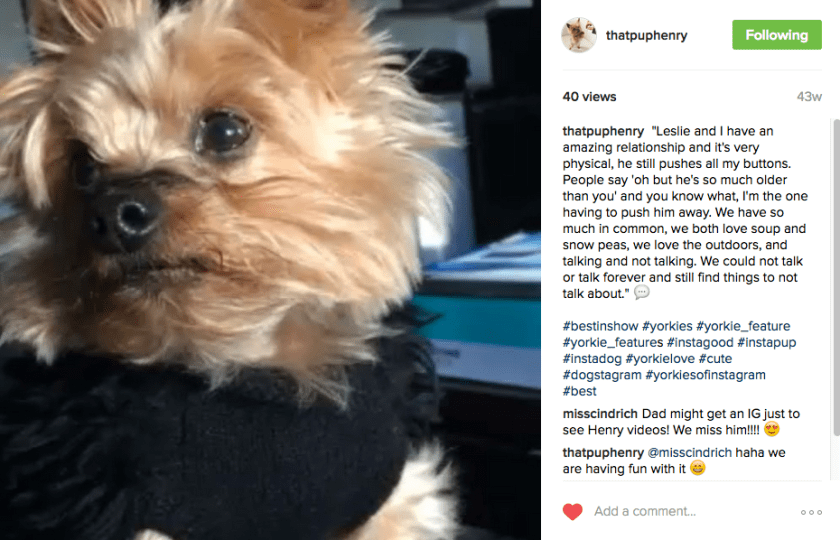 screen-shot-2017-01-31-at-9-31-35-am