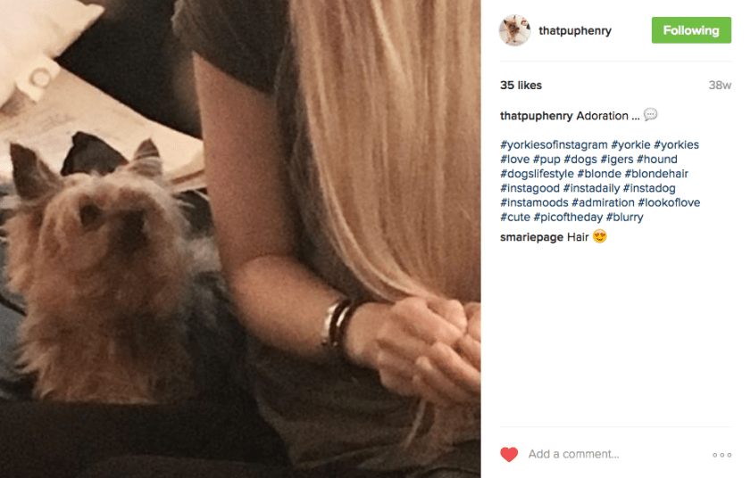 screen-shot-2017-01-31-at-9-31-58-am