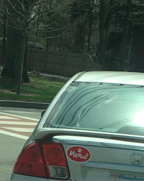 Screen Shot 2017-04-19 at 11.45.00 AM-1.png