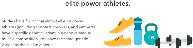 Screen Shot 2017-06-20 at 7.44.34 AM.png