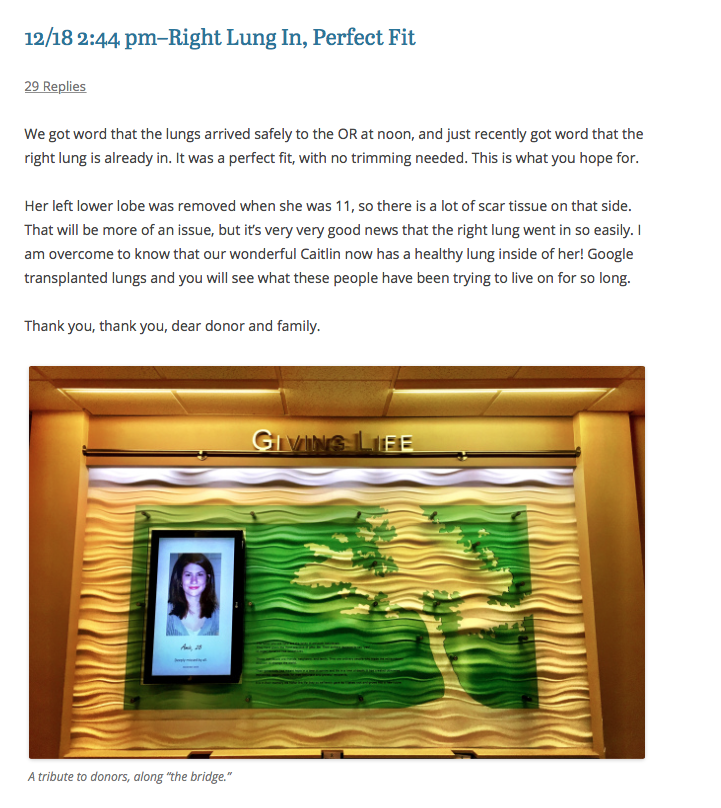 Screen Shot 2017-12-18 at 1.36.33 PM.png