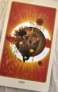 11d073fc-2938-4617-8108-d04211ab92a1