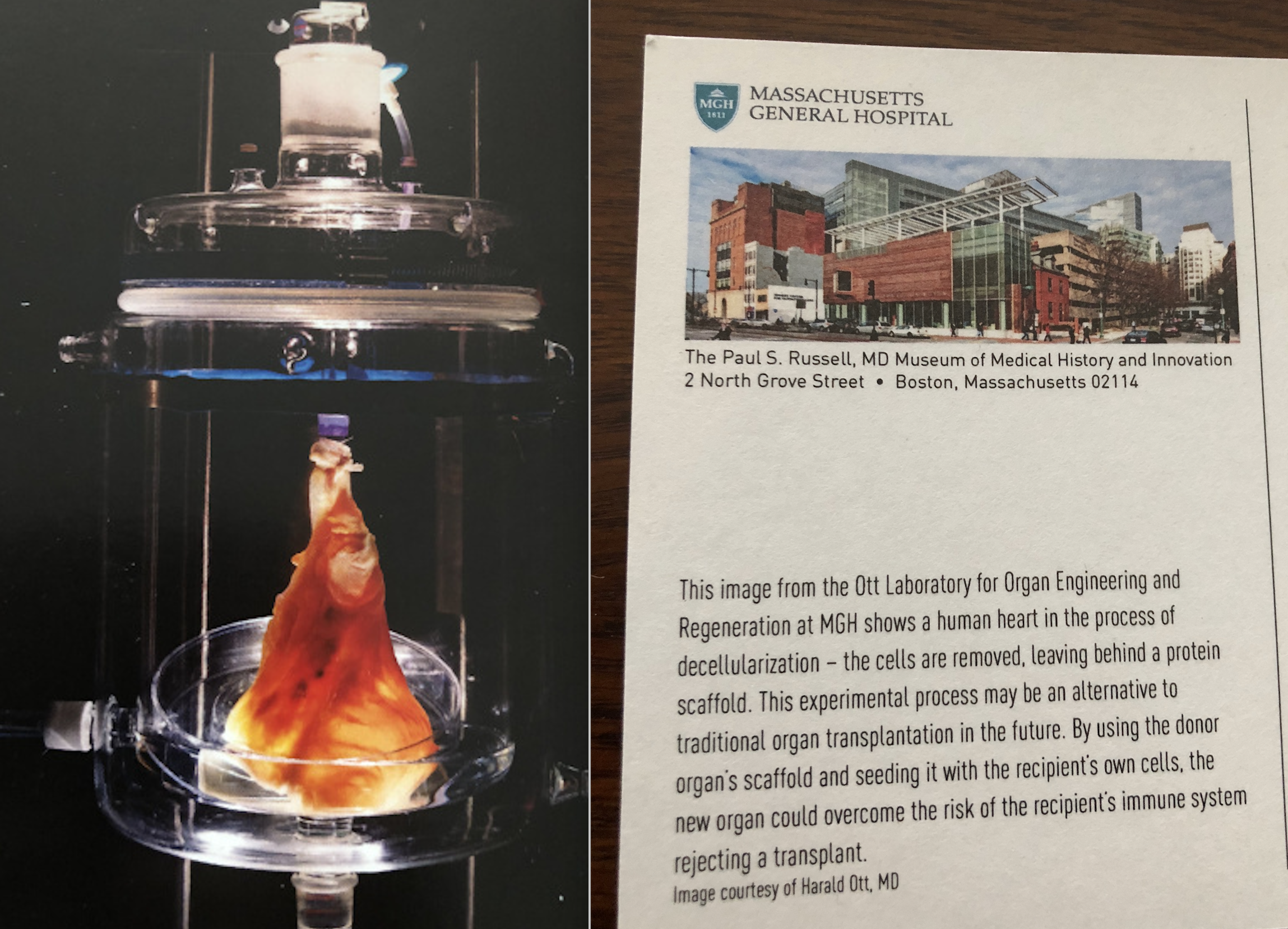 Screen Shot 2018-12-14 at 2.33.16 PM.png